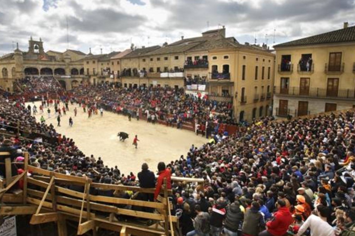 Les capéas de Ciudad Rodrigo