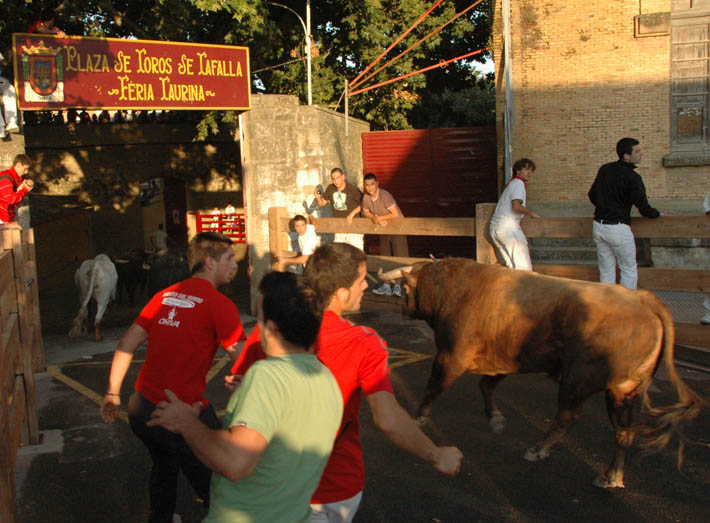 Découvrez la Navarre taurine